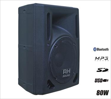 PP-0308AUS-BT Kolumna aktywna